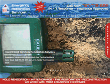 Tablet Screenshot of moldguy911.com